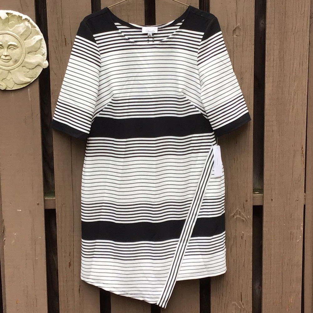 NWT Signature by Robbie Bee Asymmetrical Hemline